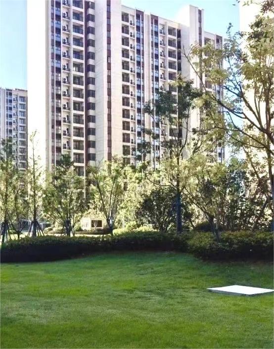 240606172710296326fd8wm